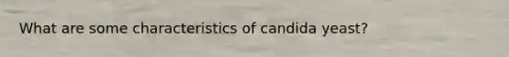 What are some characteristics of candida yeast?