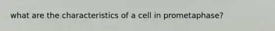 what are the characteristics of a cell in prometaphase?