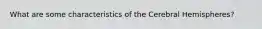 What are some characteristics of the Cerebral Hemispheres?