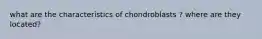 what are the characteristics of chondroblasts ? where are they located?