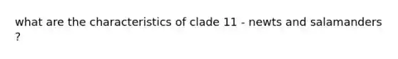 what are the characteristics of clade 11 - newts and salamanders ?