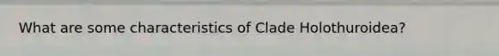 What are some characteristics of Clade Holothuroidea?