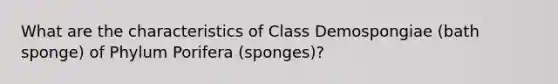 What are the characteristics of Class Demospongiae (bath sponge) of Phylum Porifera (sponges)?