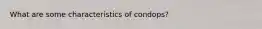 What are some characteristics of condops?