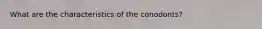 What are the characteristics of the conodonts?