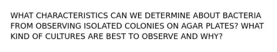 WHAT CHARACTERISTICS CAN WE DETERMINE ABOUT BACTERIA FROM OBSERVING ISOLATED COLONIES ON AGAR PLATES? WHAT KIND OF CULTURES ARE BEST TO OBSERVE AND WHY?