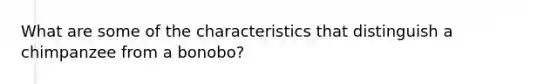What are some of the characteristics that distinguish a chimpanzee from a bonobo?