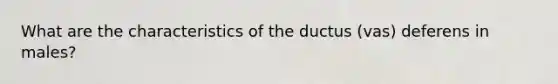 What are the characteristics of the ductus (vas) deferens in males?