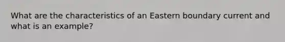 What are the characteristics of an Eastern boundary current and what is an example?