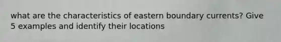 what are the characteristics of eastern boundary currents? Give 5 examples and identify their locations