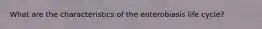 What are the characteristics of the enterobiasis life cycle?