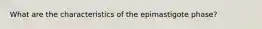 What are the characteristics of the epimastigote phase?