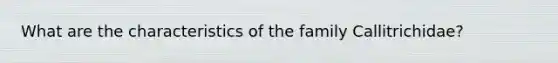 What are the characteristics of the family Callitrichidae?