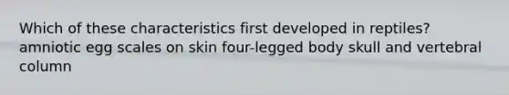 Which of these characteristics first developed in reptiles? amniotic egg scales on skin four-legged body skull and vertebral column
