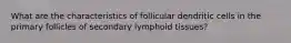 What are the characteristics of follicular dendritic cells in the primary follicles of secondary lymphoid tissues?