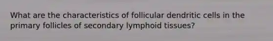 What are the characteristics of follicular dendritic cells in the primary follicles of secondary lymphoid tissues?