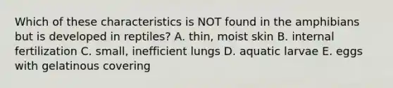 Which of these characteristics is NOT found in the amphibians but is developed in reptiles? A. thin, moist skin B. internal fertilization C. small, inefficient lungs D. aquatic larvae E. eggs with gelatinous covering