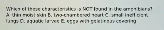 Which of these characteristics is NOT found in the amphibians? A. thin moist skin B. two-chambered heart C. small inefficient lungs D. aquatic larvae E. eggs with gelatinous covering