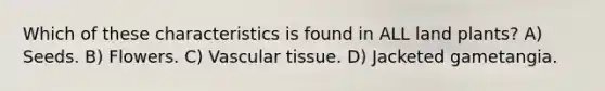 Which of these characteristics is found in ALL land plants? A) Seeds. B) Flowers. C) Vascular tissue. D) Jacketed gametangia.