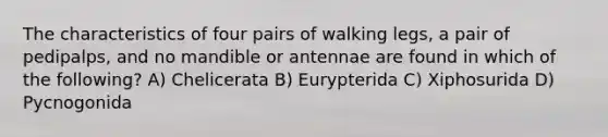 The characteristics of four pairs of walking legs, a pair of pedipalps, and no mandible or antennae are found in which of the following? A) Chelicerata B) Eurypterida C) Xiphosurida D) Pycnogonida