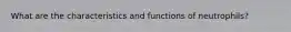 What are the characteristics and functions of neutrophils?