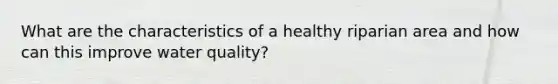 What are the characteristics of a healthy riparian area and how can this improve water quality?