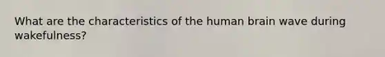 What are the characteristics of the human brain wave during wakefulness?