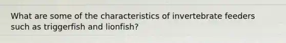 What are some of the characteristics of invertebrate feeders such as triggerfish and lionfish?