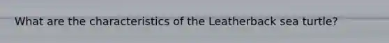 What are the characteristics of the Leatherback sea turtle?