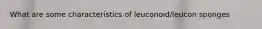 What are some characteristics of leuconoid/leucon sponges