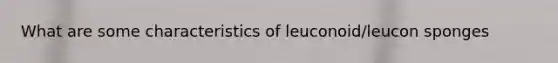 What are some characteristics of leuconoid/leucon sponges