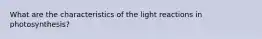 What are the characteristics of the light reactions in photosynthesis?