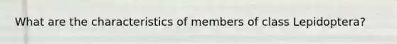 What are the characteristics of members of class Lepidoptera?