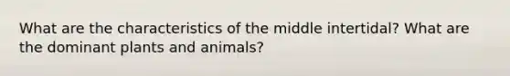 What are the characteristics of the middle intertidal? What are the dominant plants and animals?