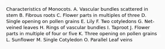 Characteristics of Monocots. A. Vascular bundles scattered in stem B. Fibrous roots C. Flower parts in multiples of three D. Single opening on pollen grains E. Lily F. Two cotyledons G. Net-veined leaves H. Rings of vascular bundles I. Taproot J. Flower parts in multiple of four or five K. Three opening on pollen grains L. Sunflower M. Single Cotyledon O. Parallel Leaf veins