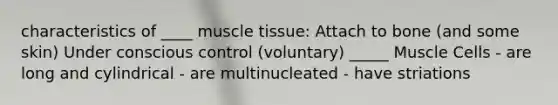 characteristics of ____ <a href='https://www.questionai.com/knowledge/kMDq0yZc0j-muscle-tissue' class='anchor-knowledge'>muscle tissue</a>: Attach to bone (and some skin) Under conscious control (voluntary) _____ Muscle Cells - are long and cylindrical - are multinucleated - have striations