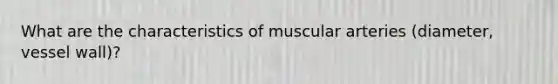 What are the characteristics of muscular arteries (diameter, vessel wall)?