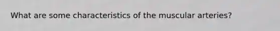 What are some characteristics of the muscular arteries?