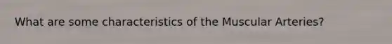 What are some characteristics of the Muscular Arteries?