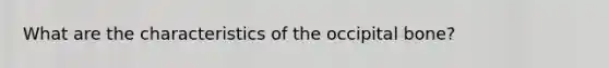 What are the characteristics of the occipital bone?