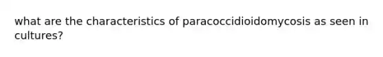 what are the characteristics of paracoccidioidomycosis as seen in cultures?