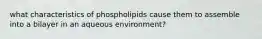 what characteristics of phospholipids cause them to assemble into a bilayer in an aqueous environment?