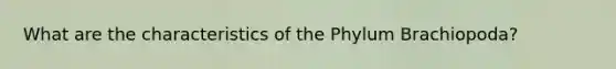 What are the characteristics of the Phylum Brachiopoda?