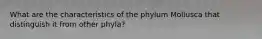 What are the characteristics of the phylum Mollusca that distinguish it from other phyla?