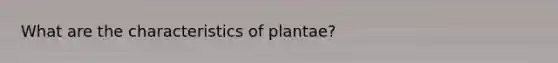 What are the characteristics of plantae?