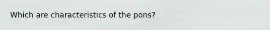 Which are characteristics of the pons?