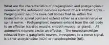 What are the characteristics of preganglionic and postganglionic neurons in the autonomic nervous system? Check all that apply. - Preganglionic neurons have cell bodies that lie within the brainstem or spinal cord and extend either as a cranial nerve or spinal nerve. - Postganglionic neurons extend from the cell body to an effector (cardiac muscle, smooth muscle, or gland). - All autonomic neurons excite an effector. - The neurotransmitter released from a ganglionic neuron, in response to a nerve signal, is either acetylcholine (ACh) or norepinephrine (NE).