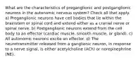 What are the characteristics of preganglionic and postganglionic neurons in the autonomic nervous system? Check all that apply. a) Preganglionic neurons have cell bodies that lie within the brainstem or spinal cord and extend either as a cranial nerve or spinal nerve. b) Postganglionic neurons extend from the cell body to an effector (cardiac muscle, smooth muscle, or gland). c) All autonomic neurons excite an effector. d) The neurotransmitter released from a ganglionic neuron, in response to a nerve signal, is either acetylcholine (ACh) or norepinephrine (NE).