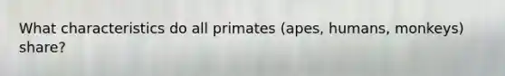 What characteristics do all primates (apes, humans, monkeys) share?