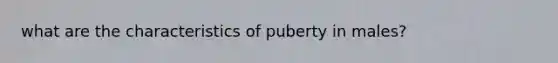 what are the characteristics of puberty in males?